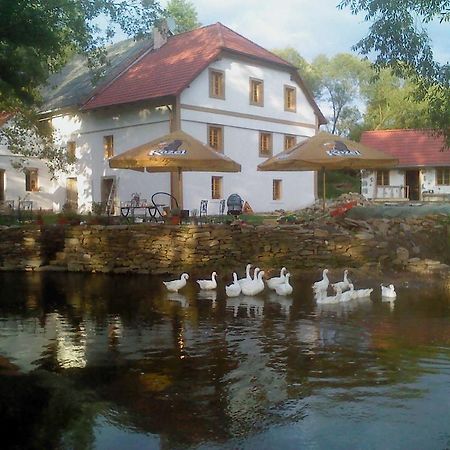 Villa Biofarma Dolejsi Mlyn à Kamberk Extérieur photo