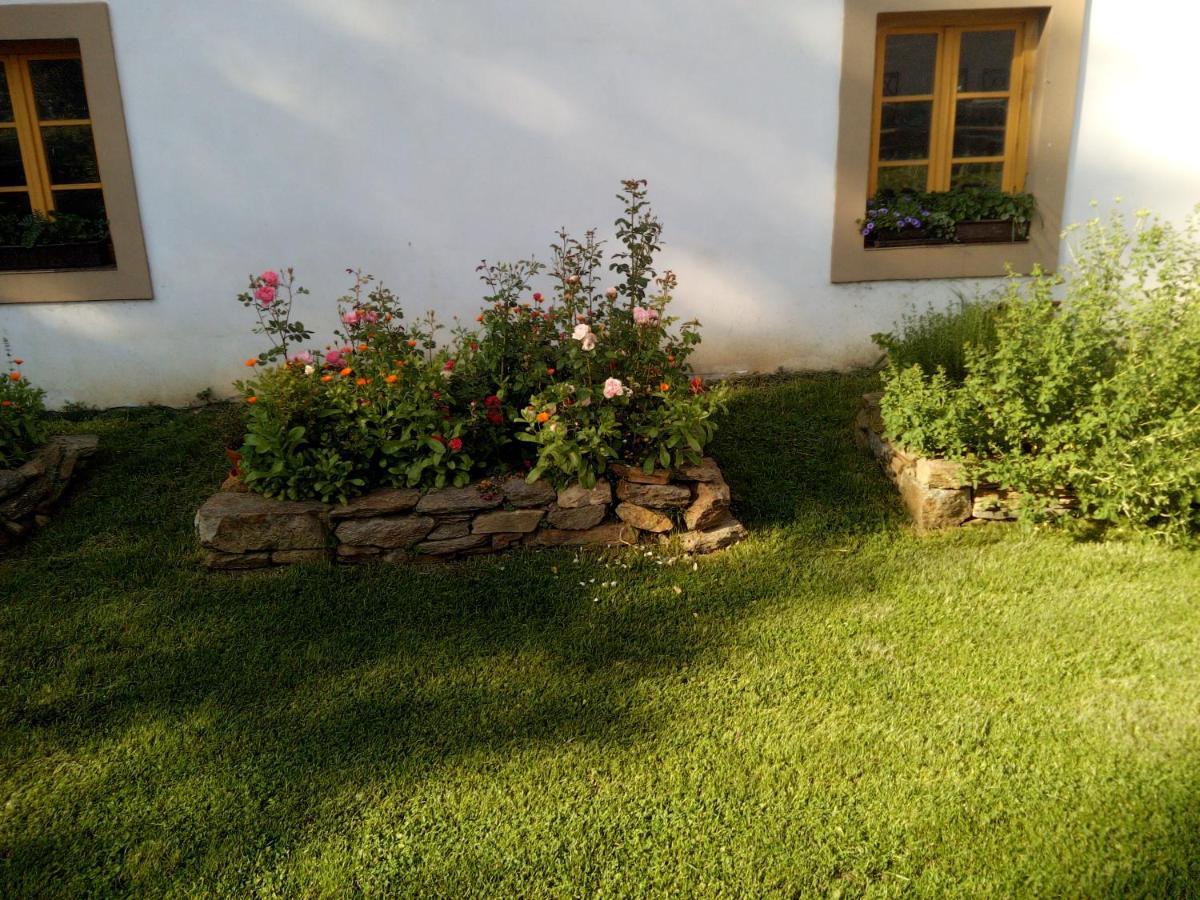 Villa Biofarma Dolejsi Mlyn à Kamberk Extérieur photo