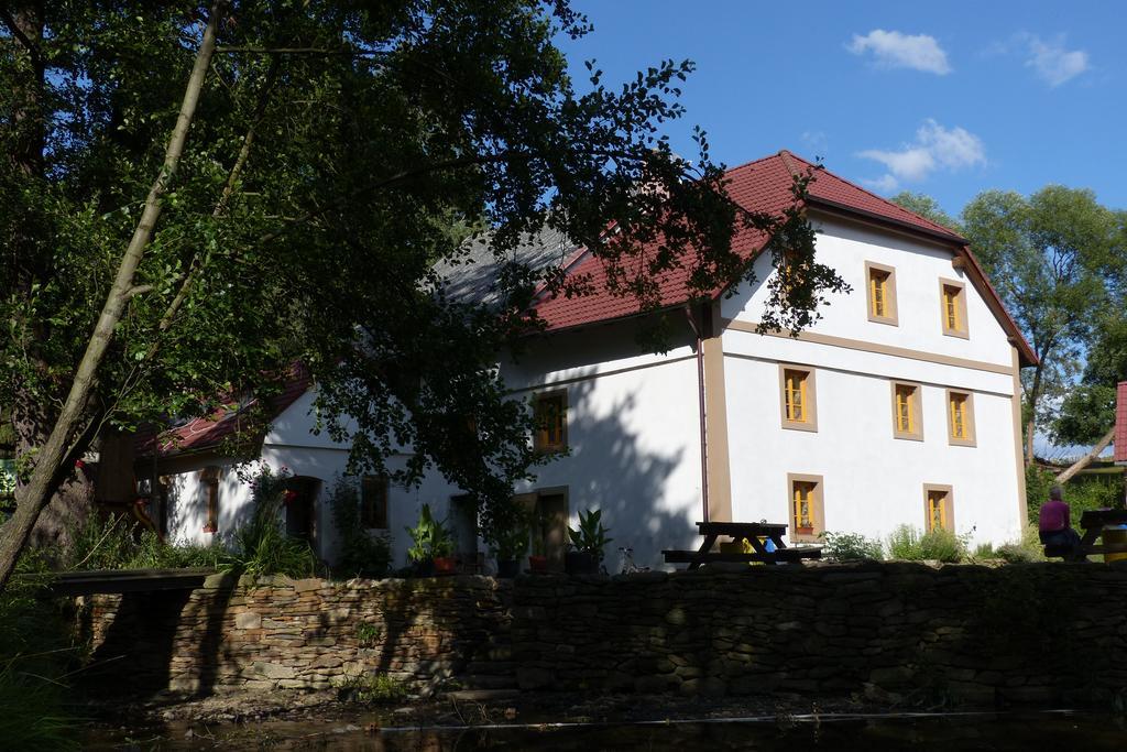 Villa Biofarma Dolejsi Mlyn à Kamberk Extérieur photo