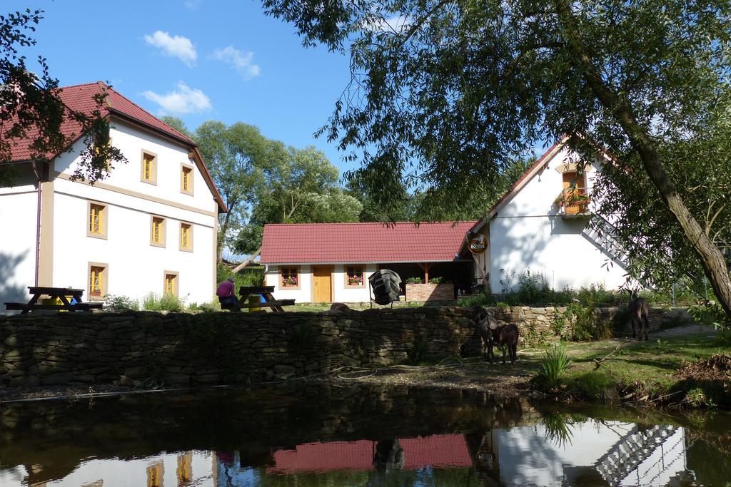 Villa Biofarma Dolejsi Mlyn à Kamberk Extérieur photo
