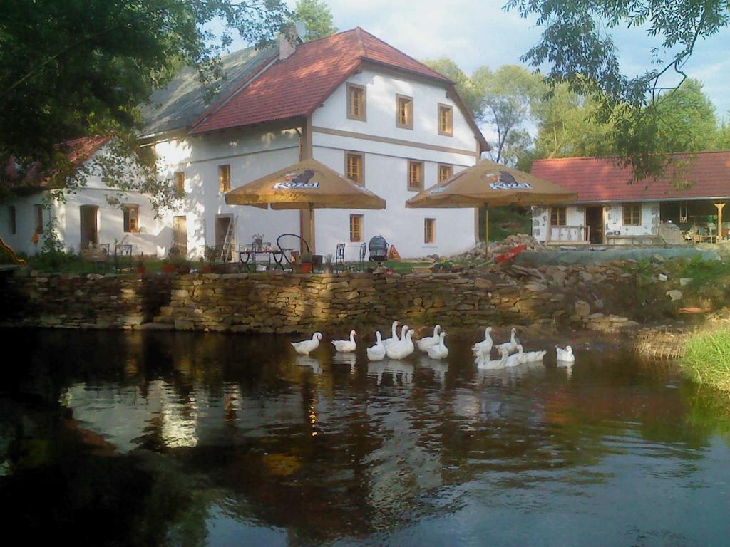 Villa Biofarma Dolejsi Mlyn à Kamberk Extérieur photo