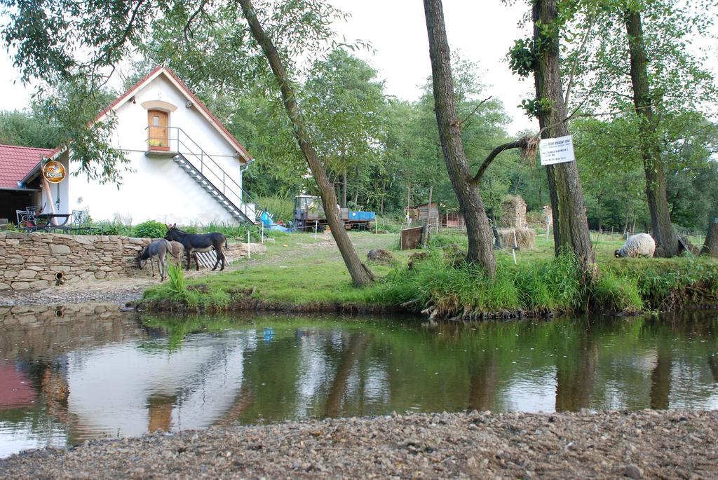 Villa Biofarma Dolejsi Mlyn à Kamberk Extérieur photo