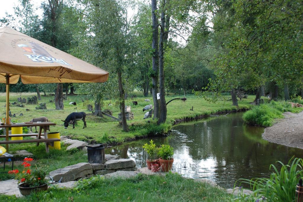 Villa Biofarma Dolejsi Mlyn à Kamberk Extérieur photo
