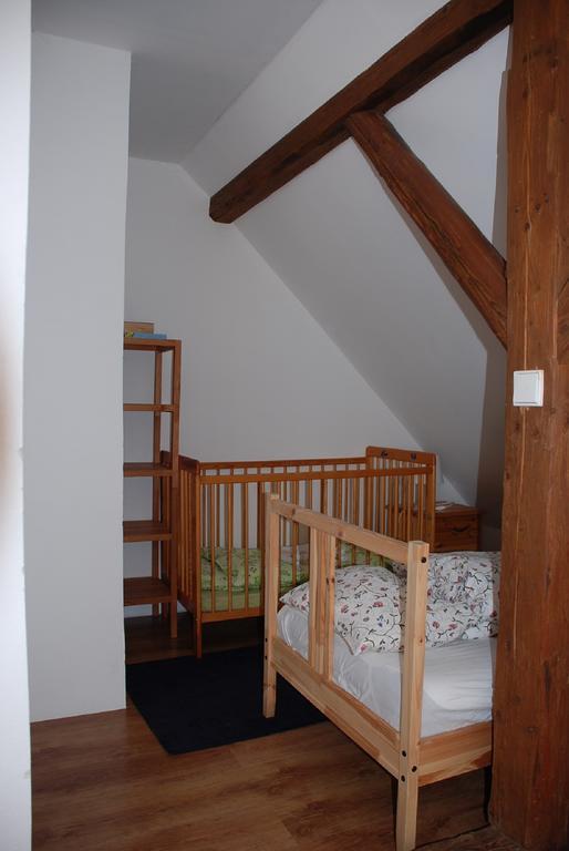 Villa Biofarma Dolejsi Mlyn à Kamberk Chambre photo