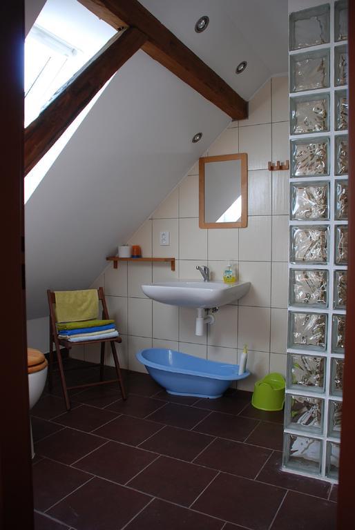 Villa Biofarma Dolejsi Mlyn à Kamberk Chambre photo