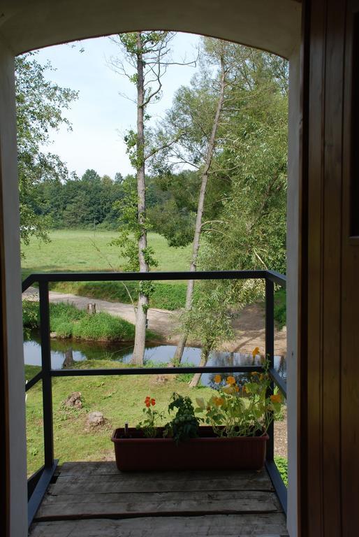 Villa Biofarma Dolejsi Mlyn à Kamberk Chambre photo