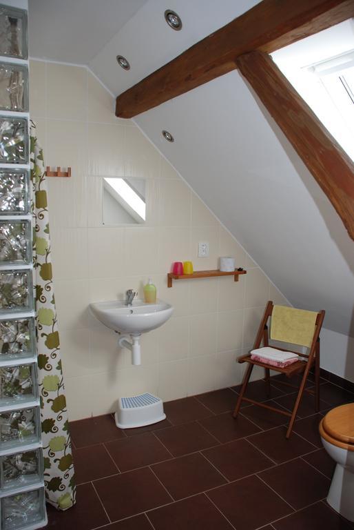 Villa Biofarma Dolejsi Mlyn à Kamberk Chambre photo